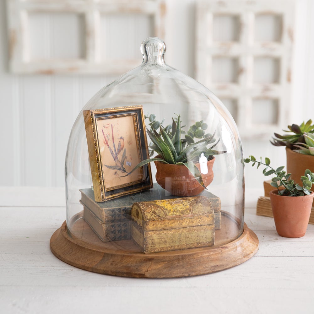 Glass Bell Shaped Cloche with Wood Base