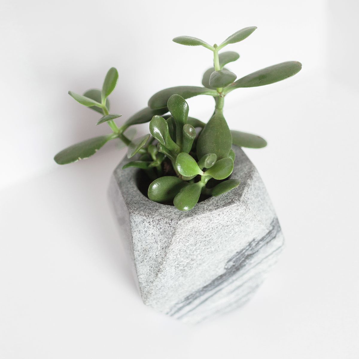 Geo Marble Planter